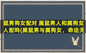 鼠男狗女配对 属鼠男人和属狗女人配吗(属鼠男与属狗女，命运天定，爱情真挚。)